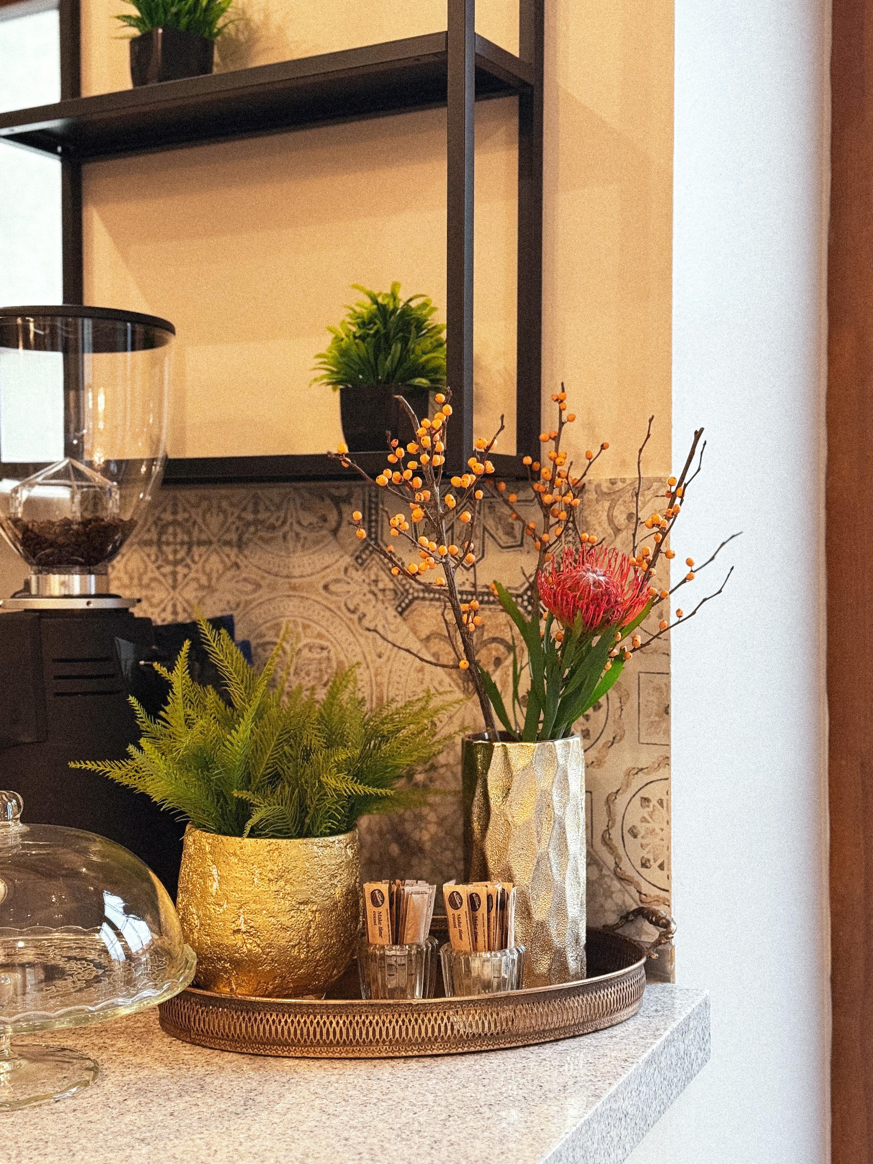 Útulný koutek kavárny